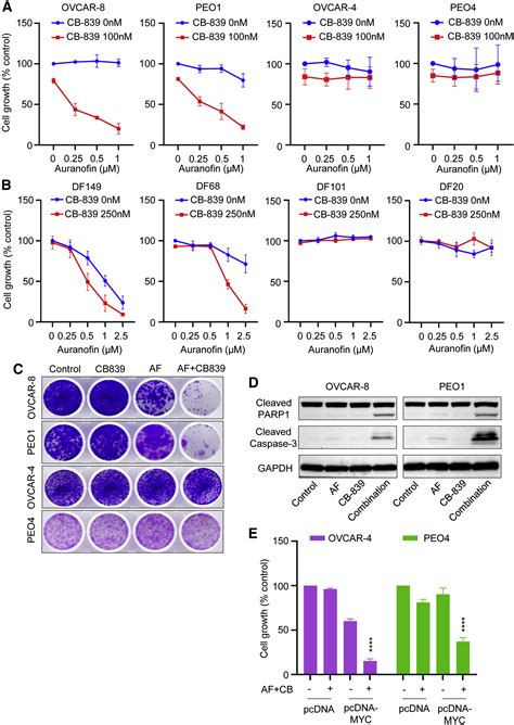 Combined Thioredoxin Reductase And Glutaminase Inhibition Exerts