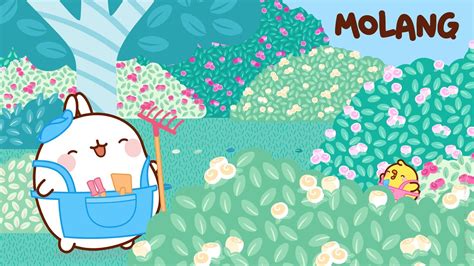 Molang Wallpaper with Piu Piu @molang.official Molang Wallpaper, Cute Wallpapers, Cute Art ...