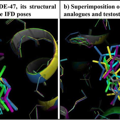 A Docking Display Of Androgen Receptor Ar In Complex With