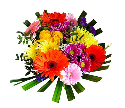 Collection Of Blumen Bunt Png Pluspng