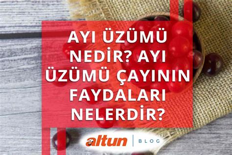 Ay Z M Nedir Ay Z M Ay N N Faydalar Nelerdir Altun Blog