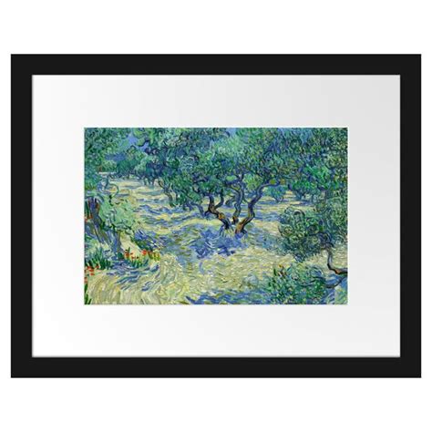 Rosalind Wheeler Gerahmter Kunstdruck Olive Field Von Vincent Van Gogh