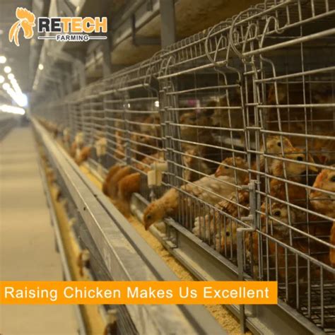 Modern Automatic Day Old Layer Chicken Cages Poultry Farms For Sale