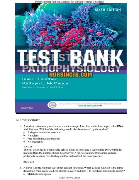 Test Bank Understanding Pathophysiology Th Edition Notes Nation