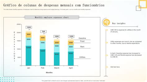 Os Principais Modelos De Gr Fico De Despesas Exemplos E Amostras