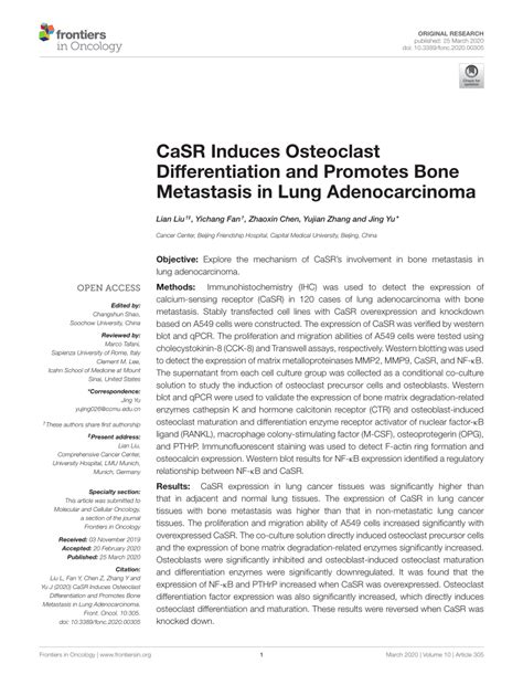 Pdf Casr Induces Osteoclast Differentiation And Promotes Bone