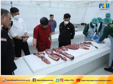 Resmikan RPH Modern Mentan SYL Dorong Pertumbuhan Industri Peternakan