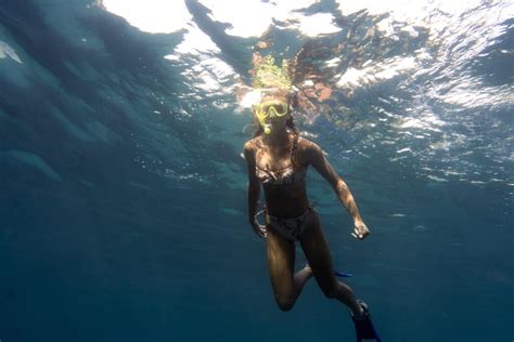 Mergulho snorkel em Ubatuba Tudo o que você precisa saber Rainha