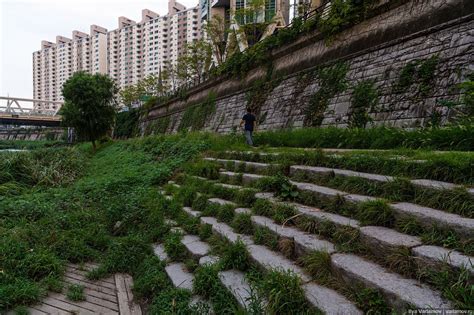 Парк вместо эстакады: когда-нибудь так будет и у нас! — Teletype