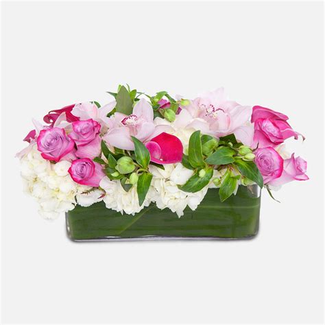 Blush Blossoms - Flower Delivery NYC - PlantShed.com