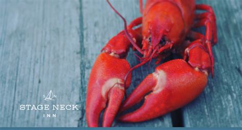 Maine Lobster Festival: The First Weekend in August | Stage Neck Inn