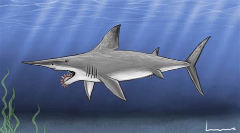 Explore the Best Helicoprion Art | DeviantArt