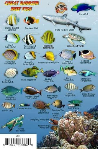 Great Barrier Reef Creatures Waterproof Fish Card X