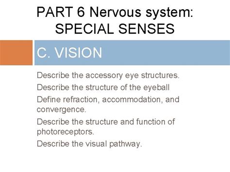 Part Nervous System Special Senses C Vision