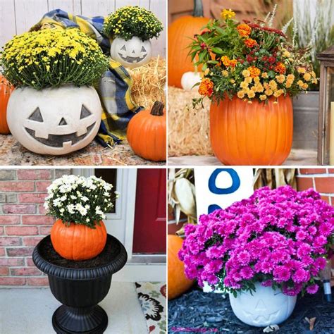 Simple Ways To Make A Pumpkin Planter Blitsy