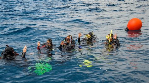 PADI Dive Centre Tenerife Tenerife Diving Centre