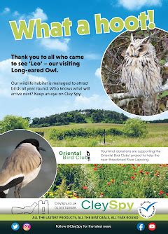 Penny S Hot Birding And Life