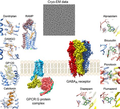 Cryo Electron Microscopy In Drug Development Atlas Of Science