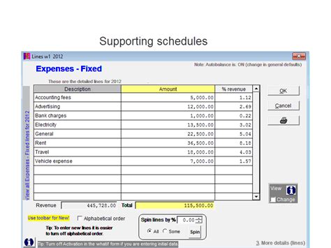 Strategic Focus Supporting Schedules Cash Focus