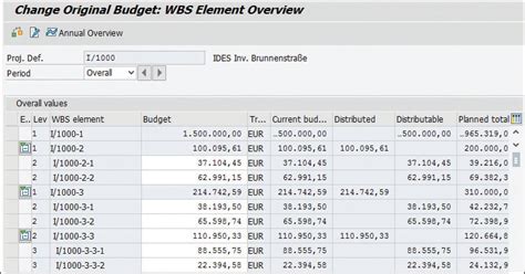 Investment Program Budgeting With SAP CO