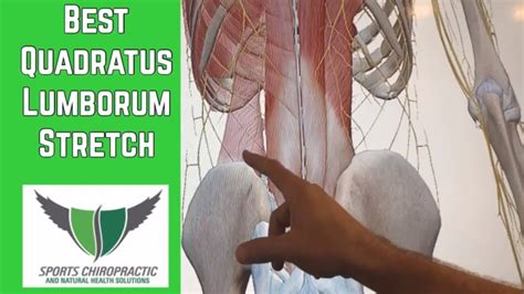 Best Ql Quadratus Lumborum Stretch Youtube