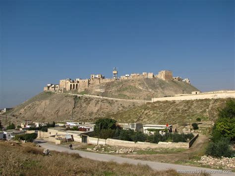 Апамея - город боевых слонов Селевка Никатора.: maximus101 — LiveJournal