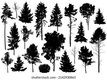 Silhouette Set Different Trees Collection Coniferous Stock Vector