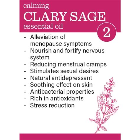 Calming Clary Sage Essential Oil Essential Oils Zesteq