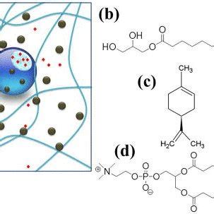 A A Schematic Representation Of The System And Molecules Used In