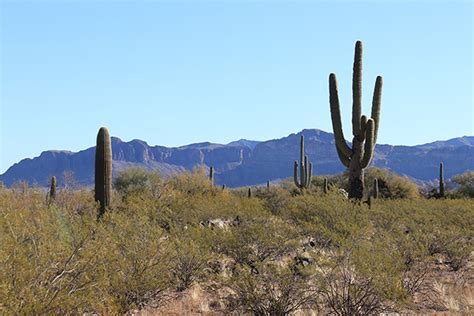 Sauceda Benchmark Arizona February 2022 Glassmountains Trip Reports