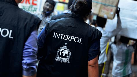 How Much INTERPOL Agents Make? ️ INTERPOL Salaries