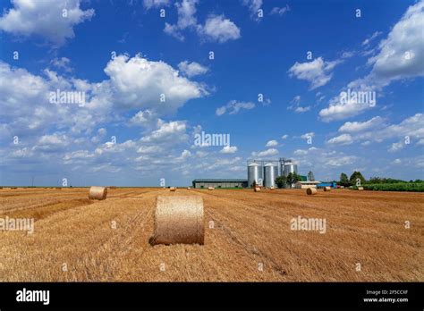 Round Hay Bales On The Field After Harvest Hay Bales And Grain Silos