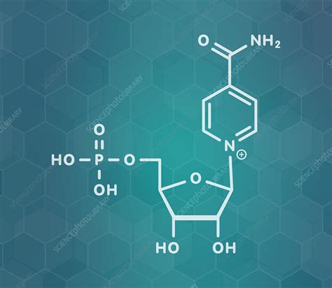 Nicotinamide Mononucleotide Molecule Illustration Stock Image F029