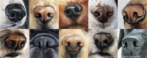 The Ultimate Guide on How to Paint Dog Noses