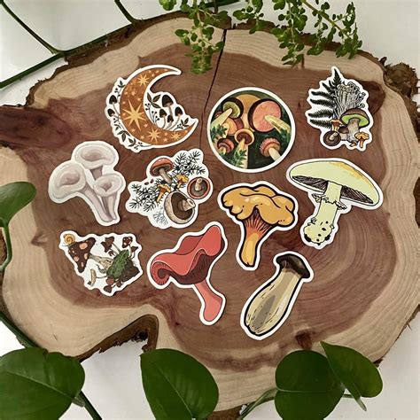 Mushroom Sticker Pack Cute Different Mushrooms Depop