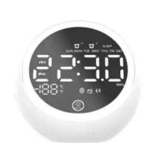 RoHS X10 Bluetooth Alarm Clock Speaker User Manual