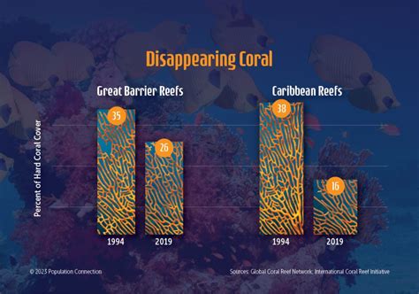 Loss Of Coral Reefs Infographic Population Education