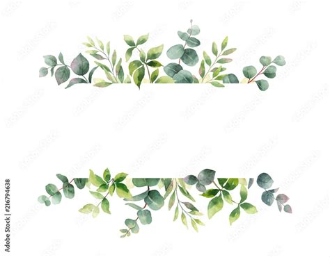 Watercolor Vector Hand Painting Horizontal Banner With Green Leaves And