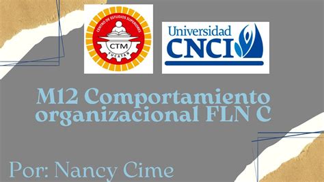 Proyecto Integrador M Comportamiento Organizacional Fln C Youtube