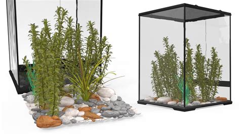 Tall Terrarium for Reptiles with Wild Plants model - TurboSquid 2145553