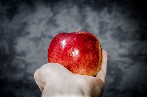 Banco De Imagens Maçã Livro Plantar Fruta Flor Comida Vermelho Produzir Trevas