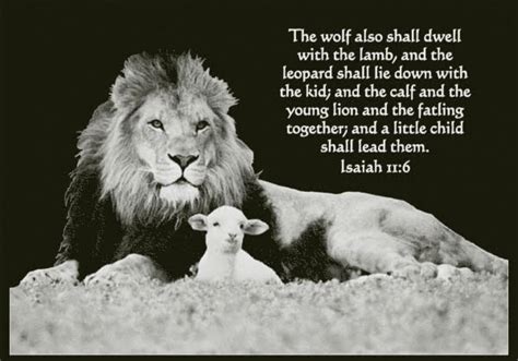 Supernatural Bible Changes Isaiah 116 The Lion Shall Lie Down With