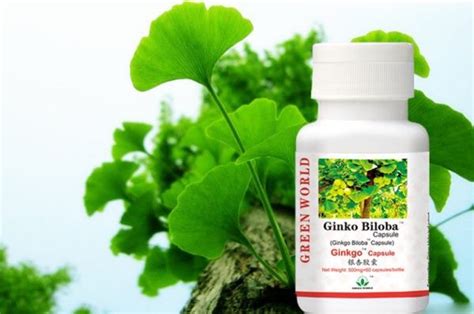 Ginko biloba 14 naučno dokazanih lekovitih svojstava Simptomi bolesti