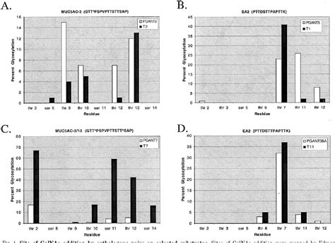 Figure 2 From Functional Characterization And Expression Analysis Of Members Of The Udp Galnac