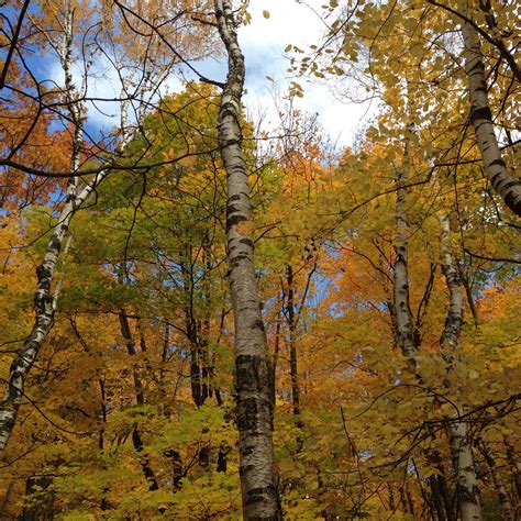 Rib Mountain State Park, WI