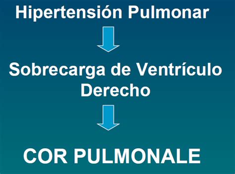 Bronquitis Cronica Enfisema Y Cor Pulmonale Flashcards