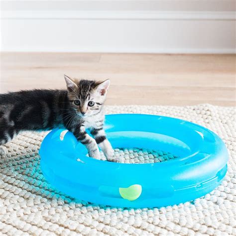 Fat Cat Crazy Circle Cat Toy Small