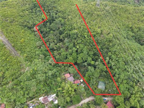 7 360 Sqm Residential Farm For Sale In Consolacion Cebu Lots