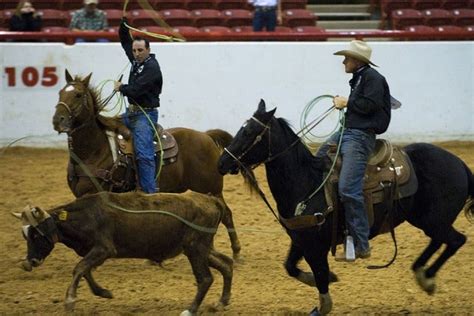 Houston Rodeo Tickets Mar Houston Tx Ticketmaster