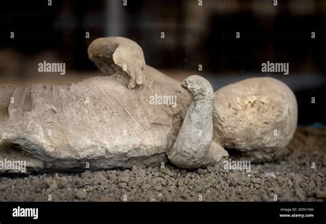 Cast Of Victim Buried By Ash By The Ad Eruption Of Mount Vesuvius In